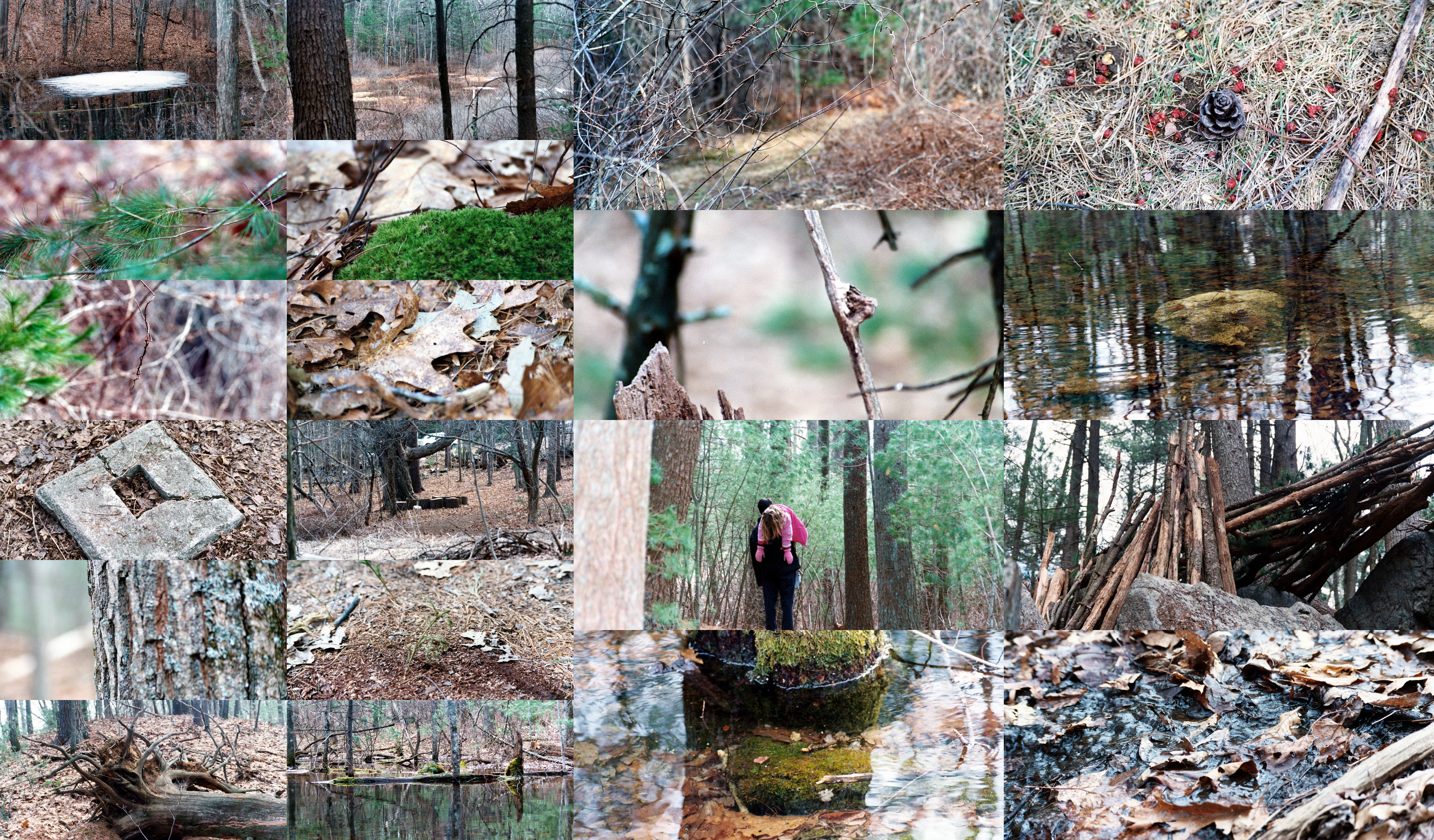 Nature Hike Collage