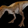 Jane 'Tyrannosaurus'