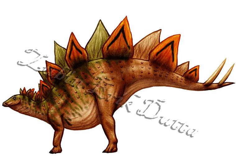 Stegosaurus stenops