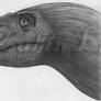 Ornitholestes Before and After