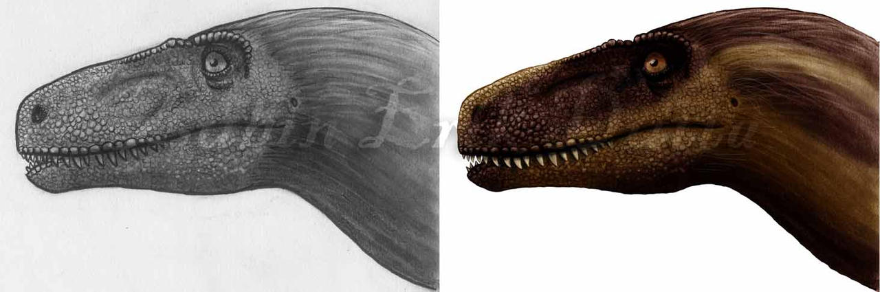 Ornitholestes Before and After