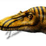 Hatchling female tyrannosaurus head study