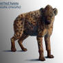 Hyena anatomy life render