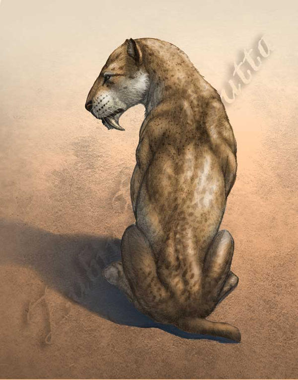 The Sabertooth