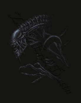 The Warrior of LV426