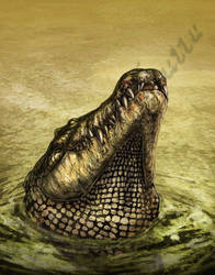 Another Crocodile Smirk by amorousdino