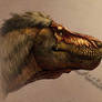 Tyrannosaurus Head Study 2020