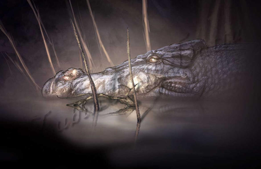 The Old River King