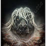 Water Hag