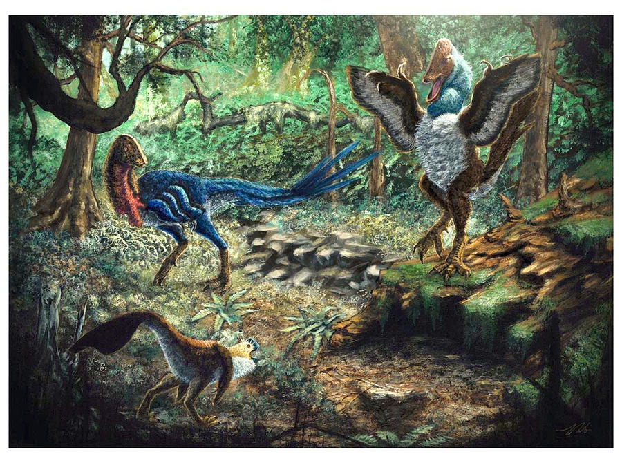 The Hell Creek Caenagnathids