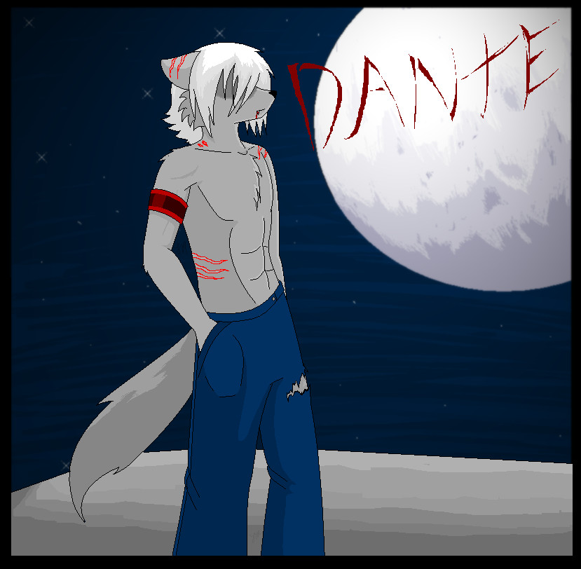 Dante the wolfie .:vampire:.
