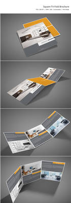 Square Tri-Fold Brochure