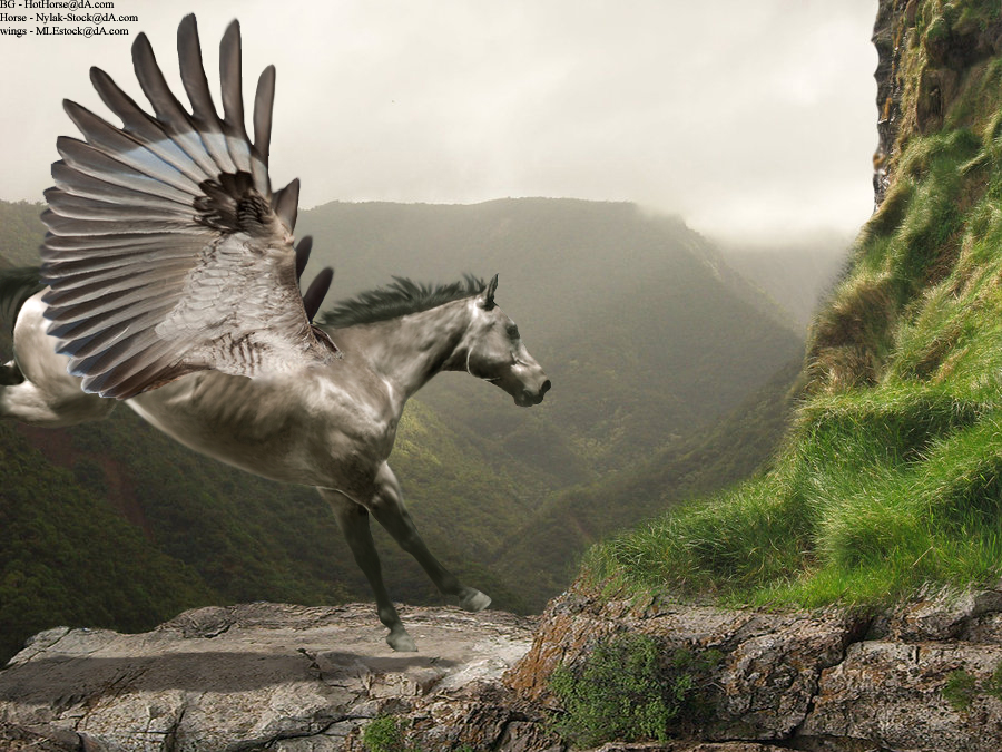 Landing Pegasus