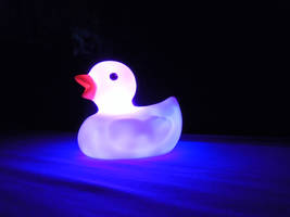 Ducky Duck