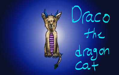 Draco the Dragon Cat