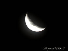 Cheshire Moon