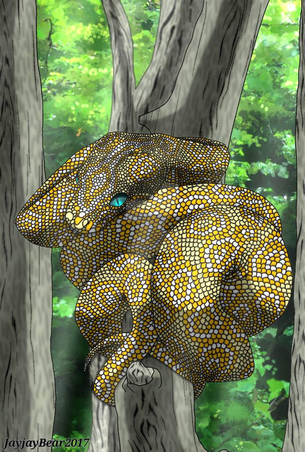 Burmese Python by Sumileo on DeviantArt