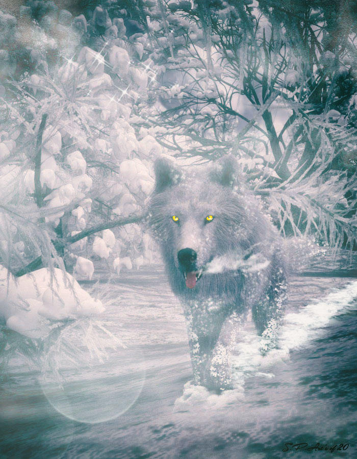 The White Wolf by Pasperti on DeviantArt