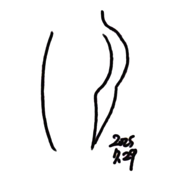 Curves