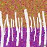 A wood 153