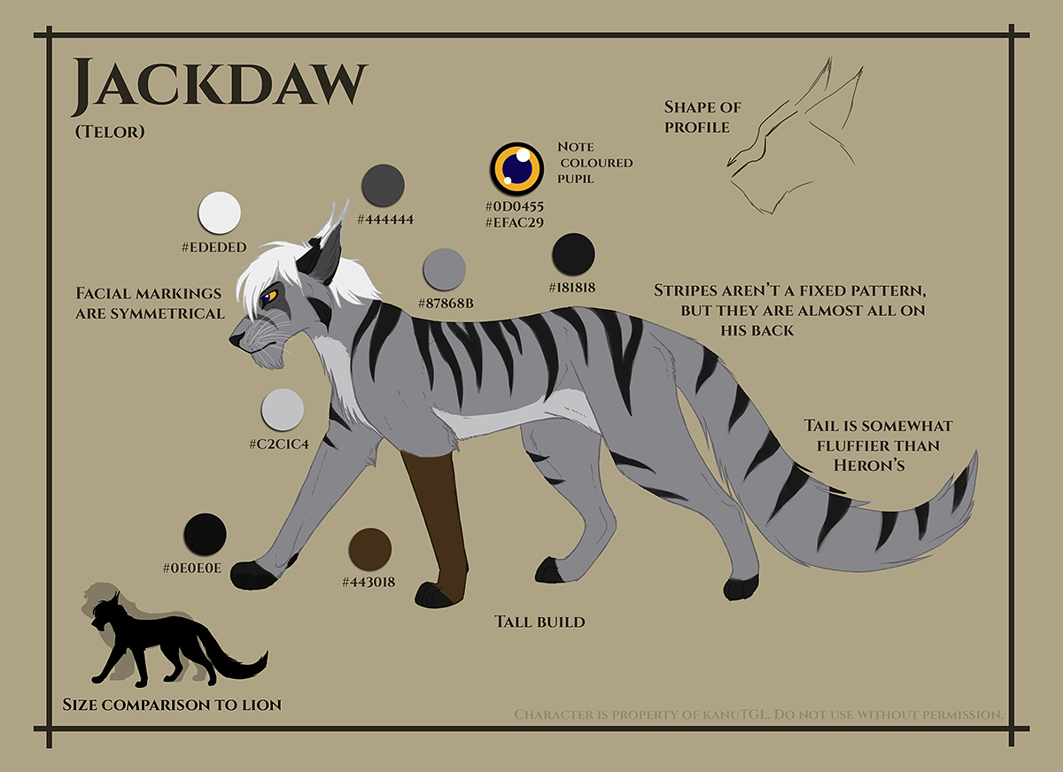 Jackdaw Reference Sheet