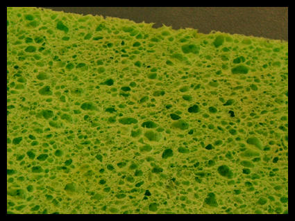 Sponge theory by scopezor on DeviantArt