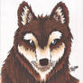 Brown Wolf