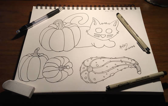 Pumpkins, Gourd, and a Cat