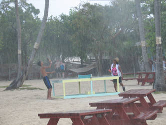 Ping Pong In The Rain