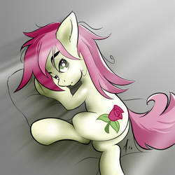Roseluck in bed