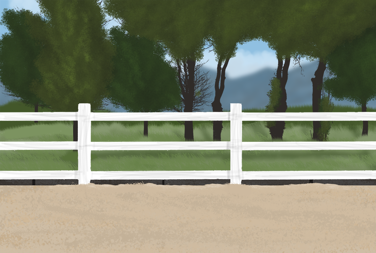 FREE Riding Arena Background