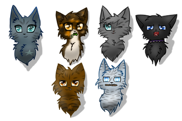 warrior cat headshots!