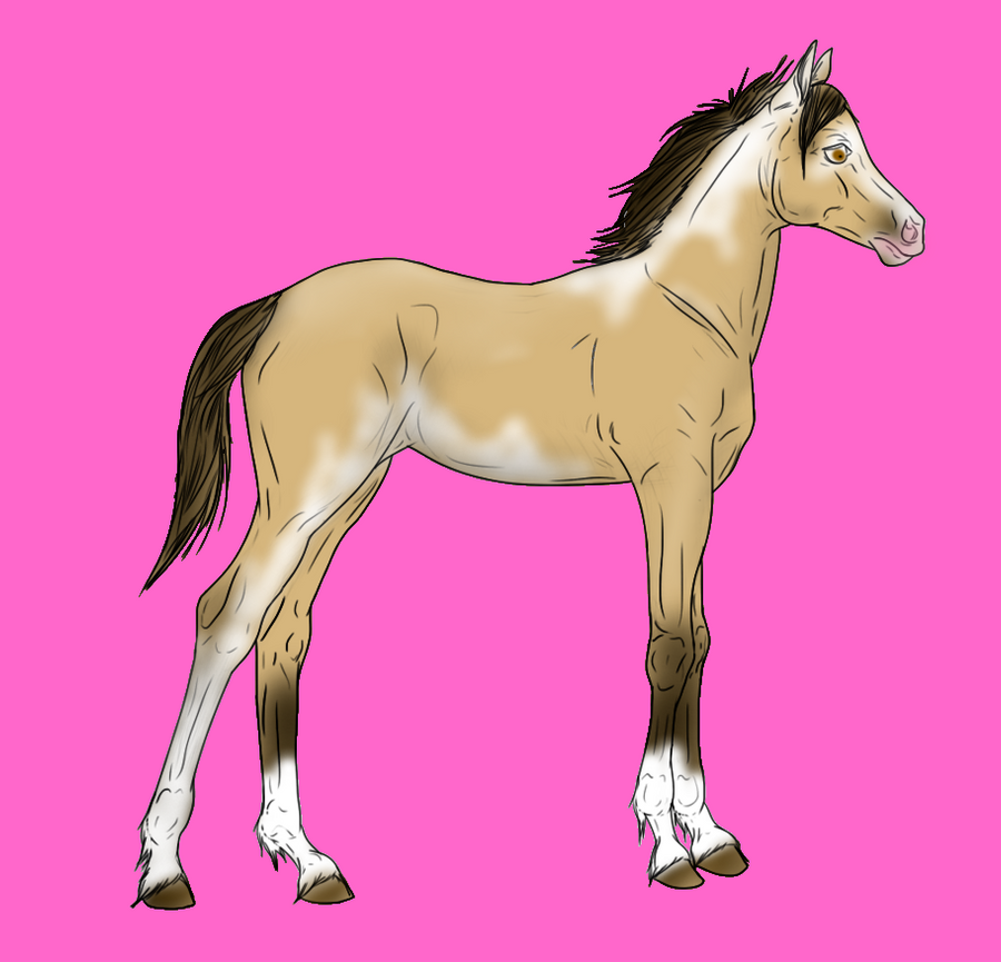 silvian filly2