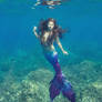 Mermaid of the sea