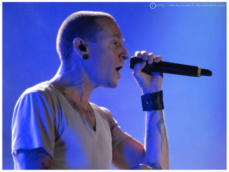Chester at Pinkpop 2012