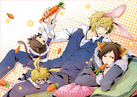 drrr- the cat Izaya and the rabbit Shizuo