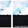.swallow.strike.force.