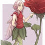 Rose's Fairy