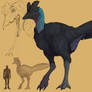 Cryptids: Ratite Clade Snallygaster 01