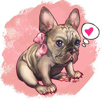 French bulldog