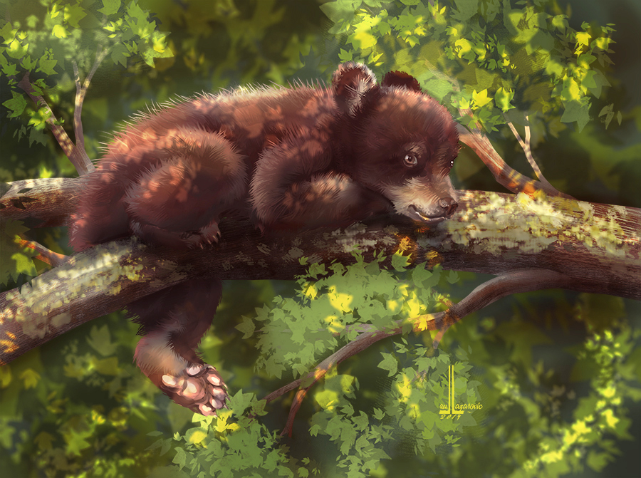 Bear cub by DesigningLua Bear cub by DesigningLua