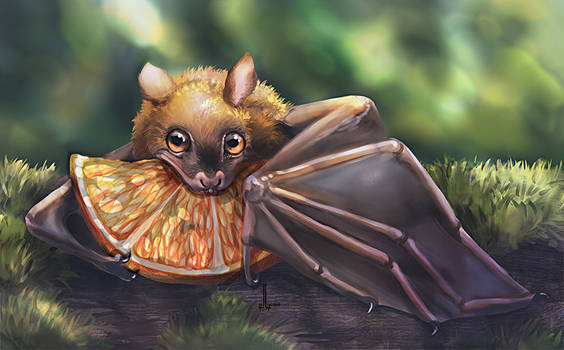 Fruit bat