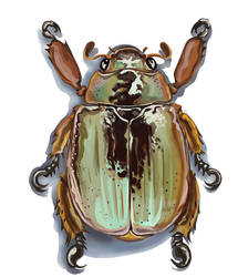 Silver Scarab