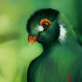 Green Bird