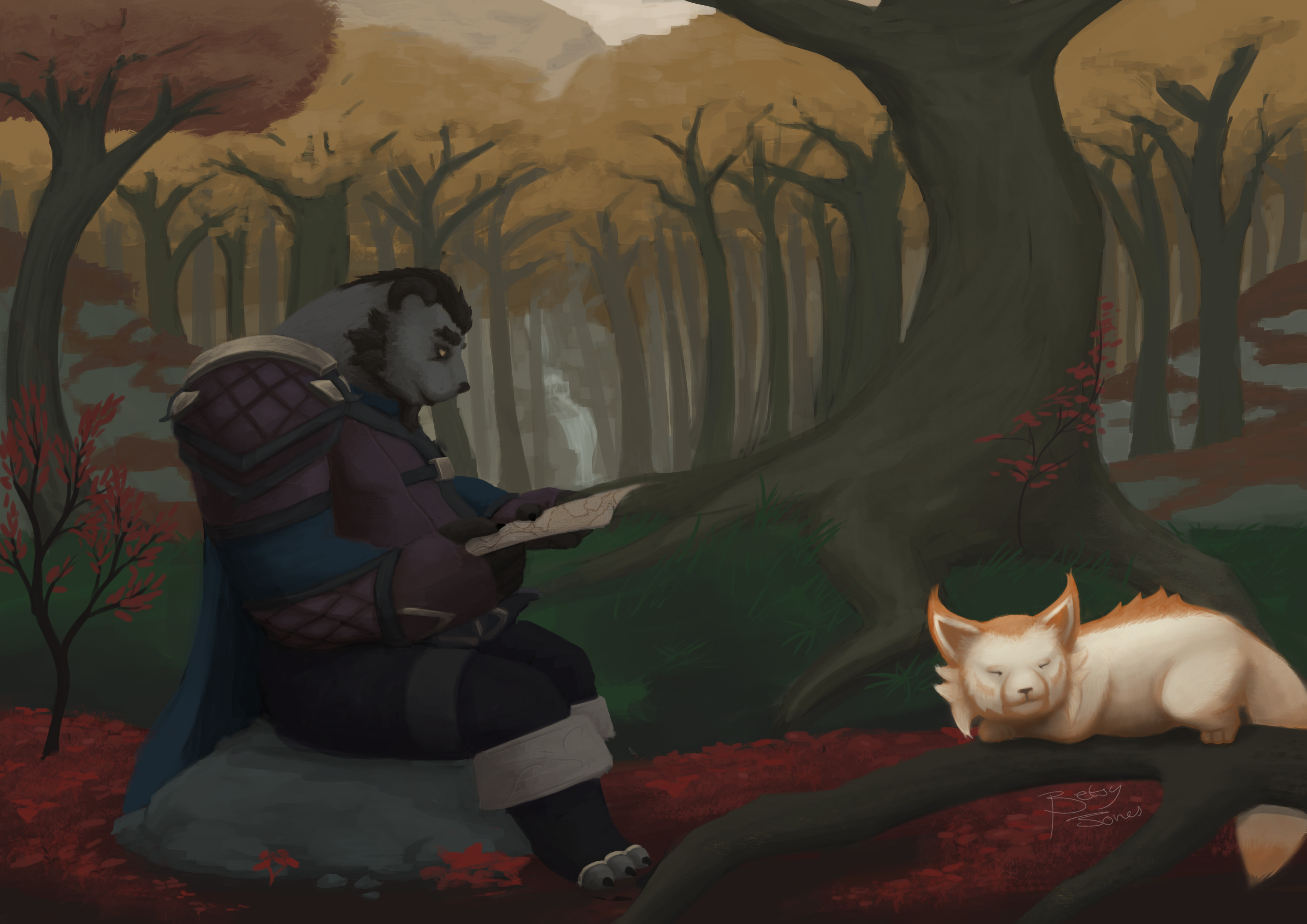 Pol in Drustvar