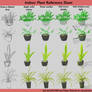 Indoor Plant Reference Sheet