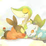 Pokemon BW Starters