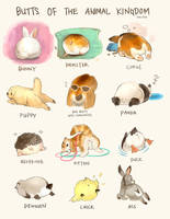 Animal Butts