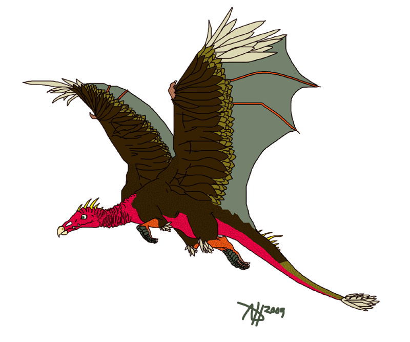 Windra - Scavenger Dragon