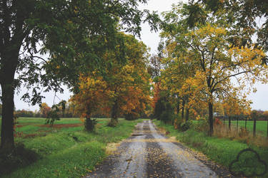 Fall Road